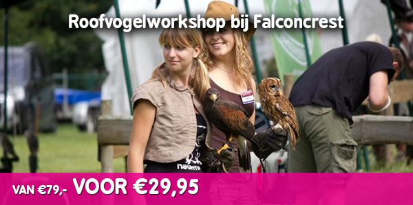 Roofvogelworkshop bij Falconcrest