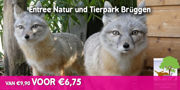 Entree Natur und Tierpark Brüggen