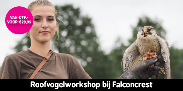 Roofvogelworkshop bij Falconcrest