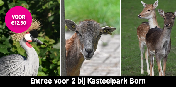 Kasteelpark Born