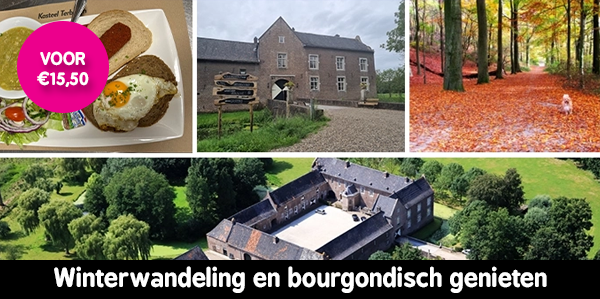 Kasteel Terborgh