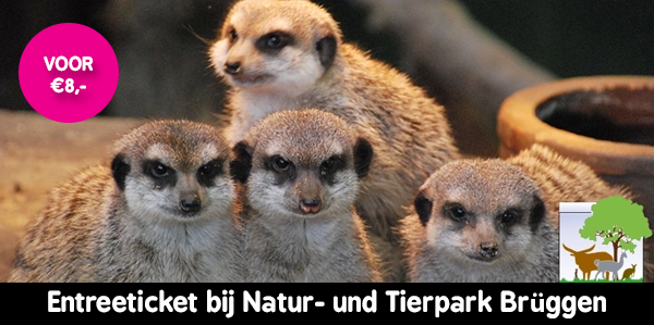 Tierpark