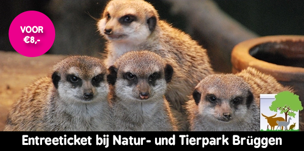 Tierpark Bruggen