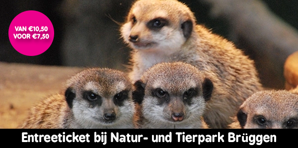 Tierpark Brüggen