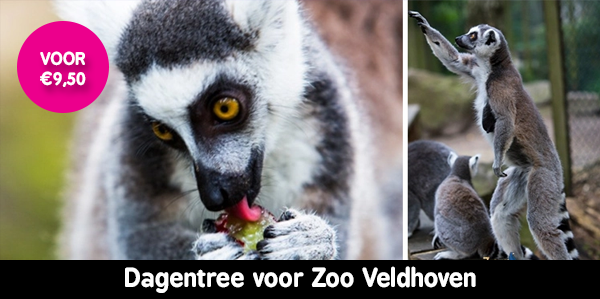 Zoo Veldhoven