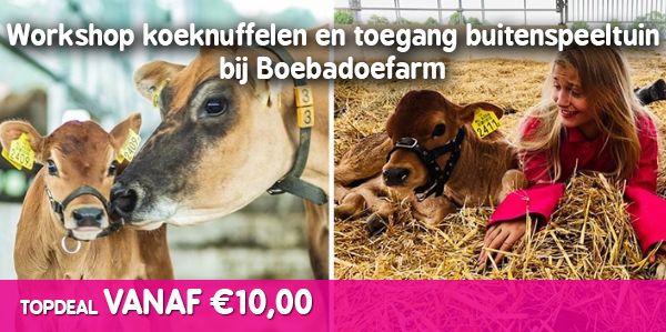 Workshop koe knuffelen bij Boebadoefarm